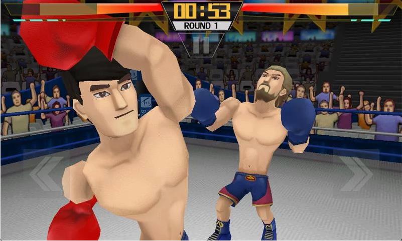 Pro 3D Boxing