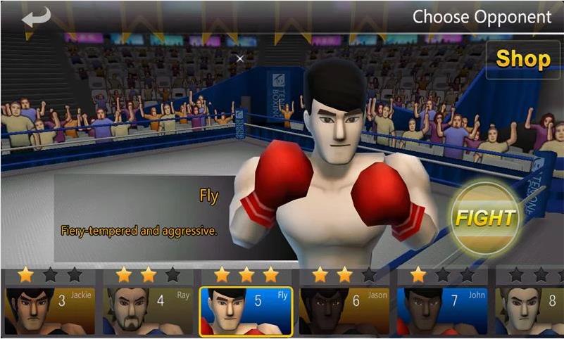 Pro 3D Boxing