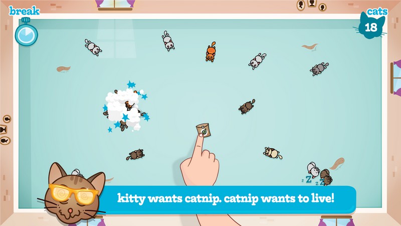 Игры для кошек на телефоне мухи