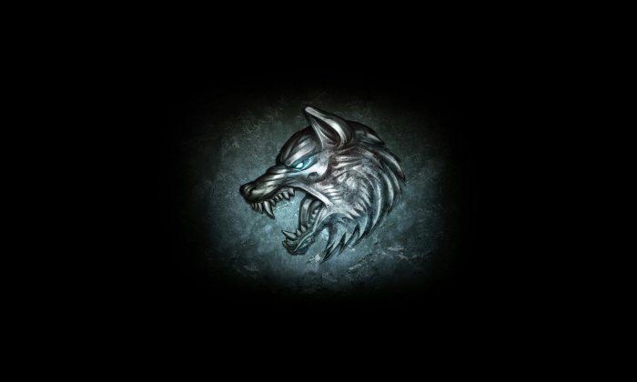 Warhammer - 40 000: space Wolf