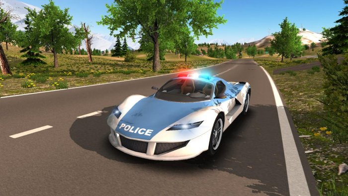 Police Car Driving Offroad